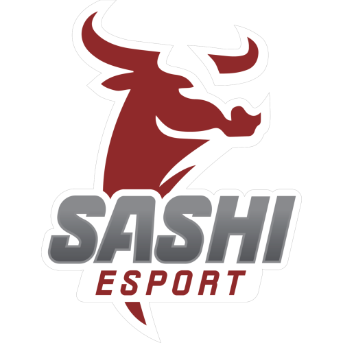 Логотип Sashi Academy