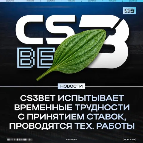 Мы немного приболели, но стараемся восстановиться как можно скорее