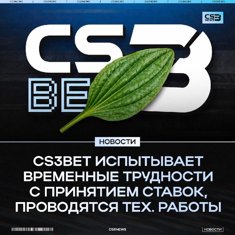 Мы немного приболели, но стараемся восстановиться как можно скорее