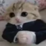 💲