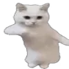 🕺