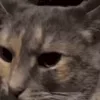 😶