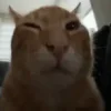 😳