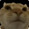 👎
