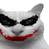 😼