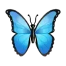 🦋