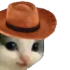 🎩