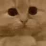 🙏