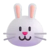 🐰