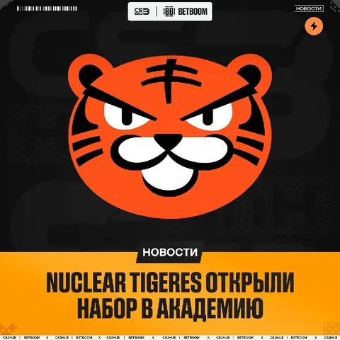 Твой шанс попасть в киберспорт — Nuclear TigeRES набирают второй академический состав с тренером modjoo
