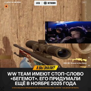Бегемот — секретное стоп-слово WW TEAM.