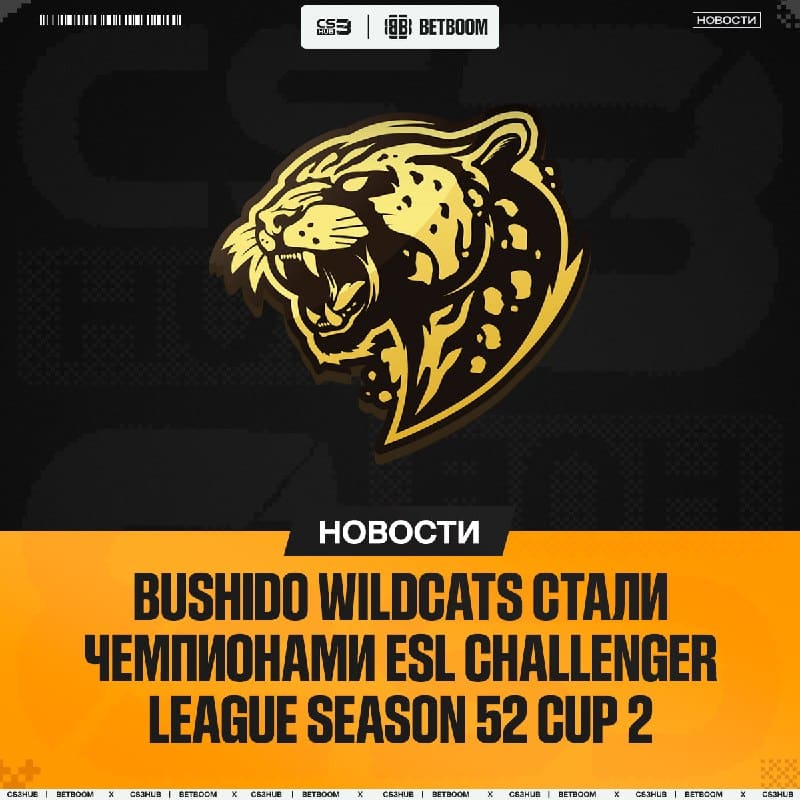 Второй слот в закрытые квалификации к ESL Pro League Season 25 — забирают Bushido Wildcats