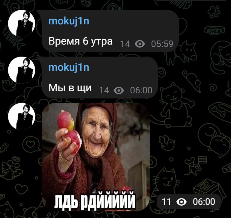 Медиа Telegram