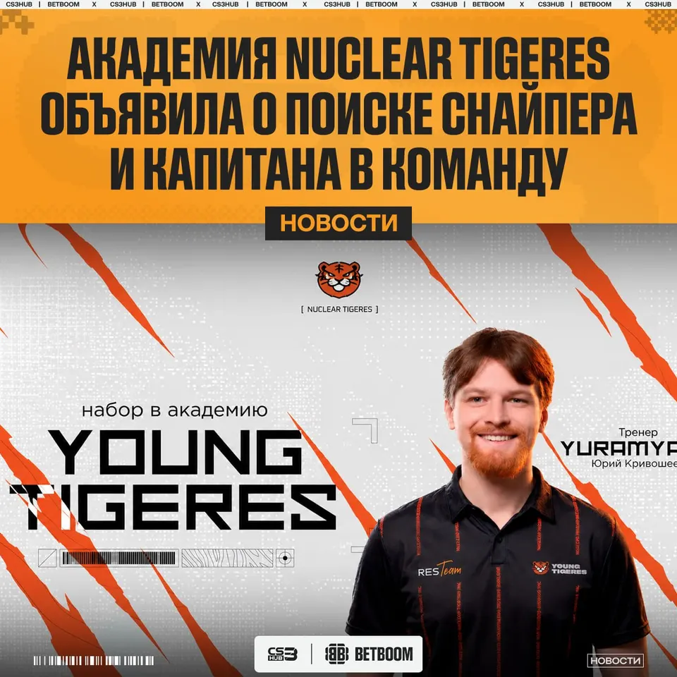 Медиа Telegram