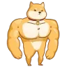 💪