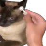 👂