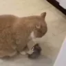 🍴