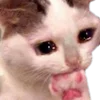 🥺