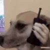 📞