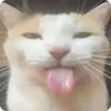 😛
