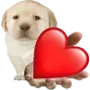🥰