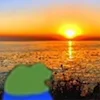 🌅
