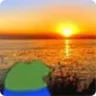 🌅