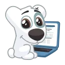 💻
