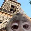 🗼
