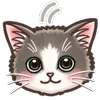 🐱