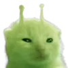 👽