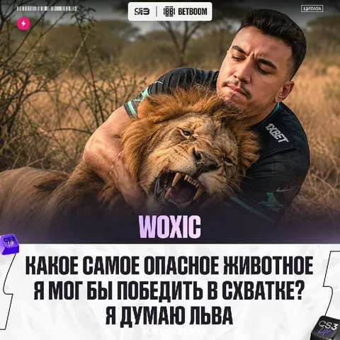 Woxic принял участие в интересном опросе.