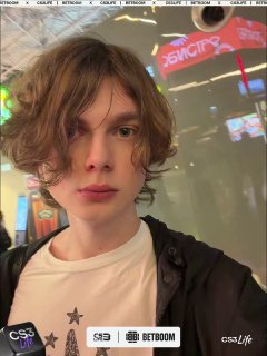 Медиа Telegram