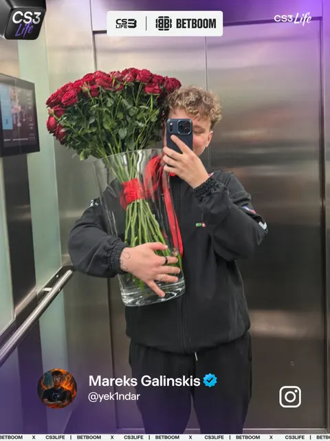 Медиа Telegram