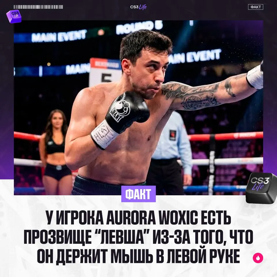 Медиа Telegram