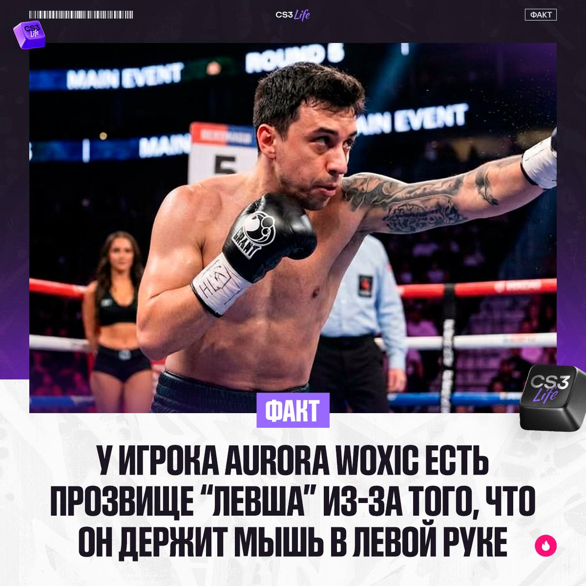 Медиа Telegram