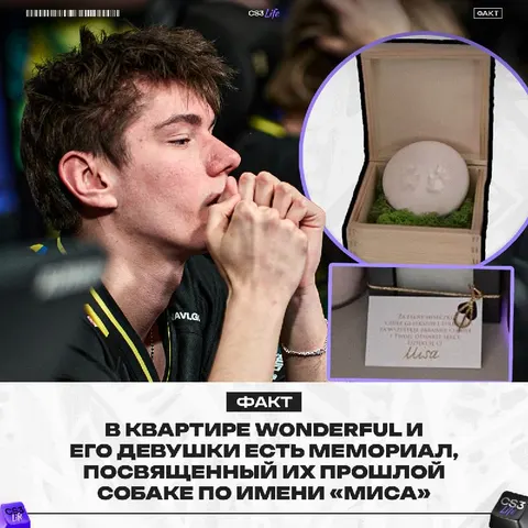 W0nderful прокомментировал трагическую ситуацию, связанную с их прошлой собакой: