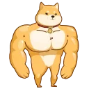 💪