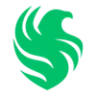 🇸🇦
