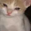 😔
