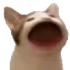 😮
