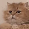 😐