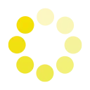 🟡