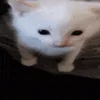 💥