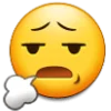 😮‍💨