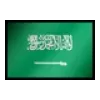 🇸🇦