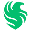 🇸🇦