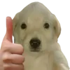 👍