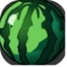 🍉