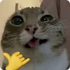🤙